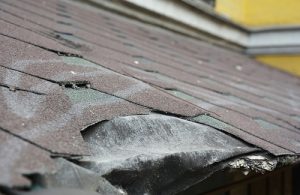 roof shingles