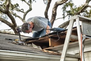 roof inspection