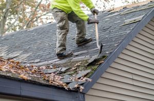 roofing contractor