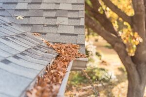 Gutter cleaning in Greenville SC