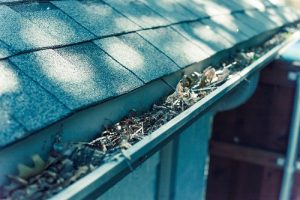 Gutter cleaning